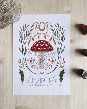 https://shop.shamanrites.es/p/prints/amanita-muscaria-print/